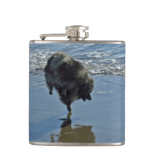Flasques Keeshond Ballet Photographie - Joli chien d'origin