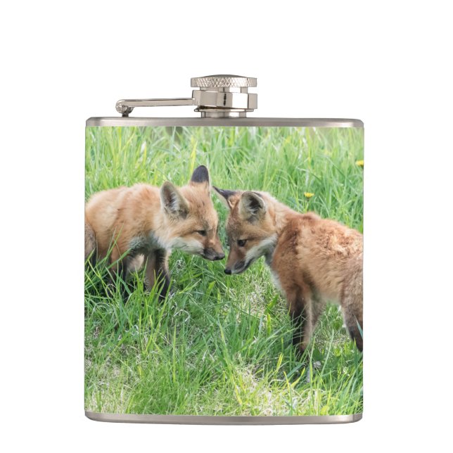 Flasques Kits Red Fox (Devant)