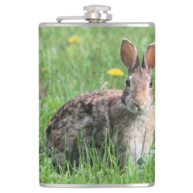 Flasques Lapin (Devant)