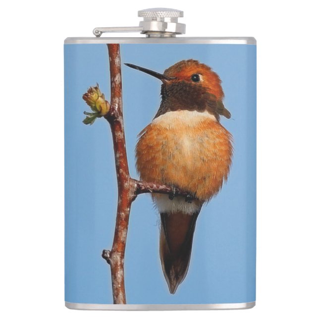 Flasques Le colibri roux mâle en vedette (Devant)