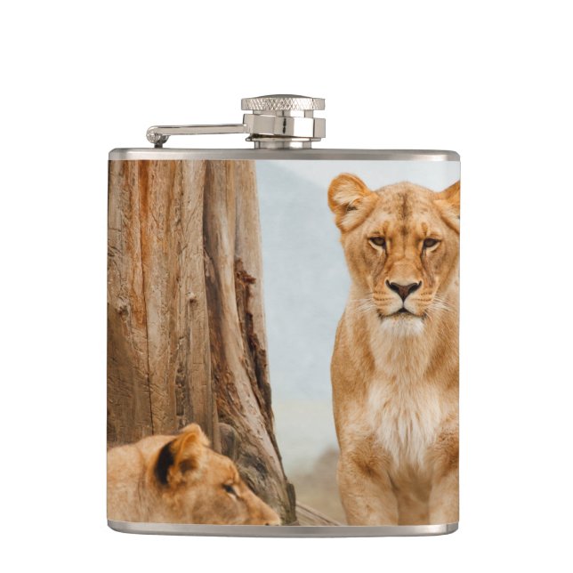 Flasques Lions (Devant)