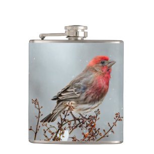 Flasques Maison Finch en Neige - Photo originale