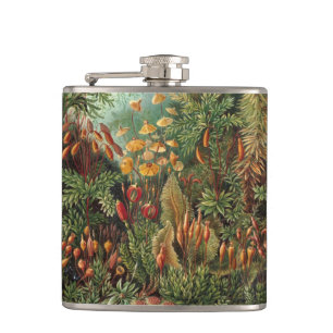 Flasques Muscinae vintage, Plantes de la mousse par Ernst H