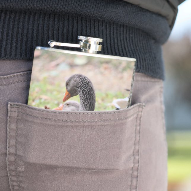 Flasques Oie (In Situ)