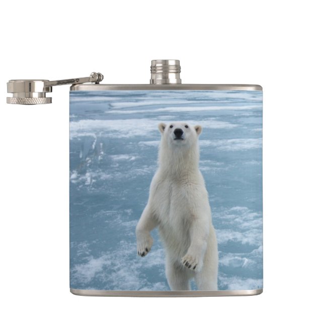 Flasques Ours blanc (Ouvert)