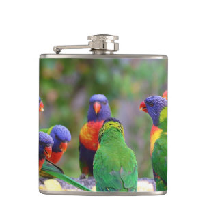 Flasques Parrots colorés Arc-en-ciel Lorikeet Manger