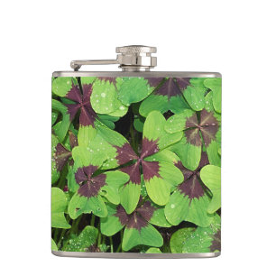 Flasques Patte de quatre feuilles de trèfle, Sorrel, avec D