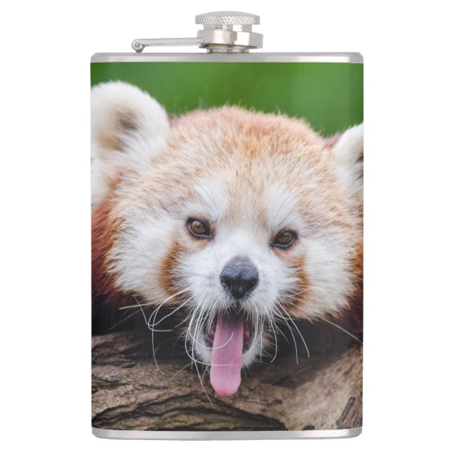 Flasques Petit panda roux (Devant)