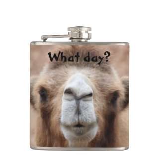 Flasques Photo idiote de chameau (personnaliser)
