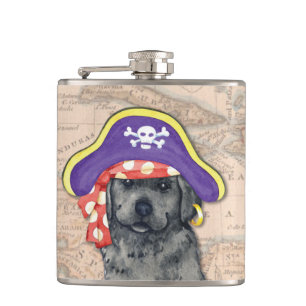 Flasques Pirate noir de laboratoire