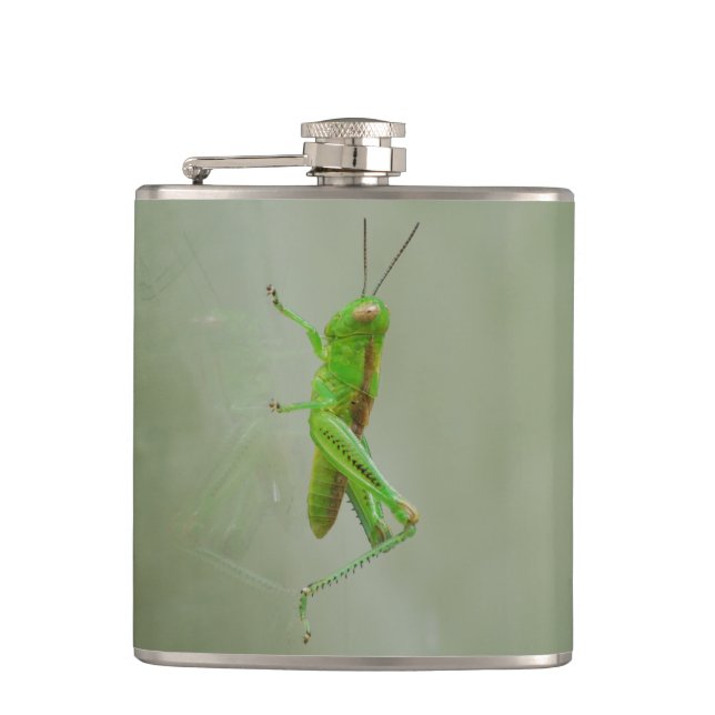 Flasques Sauterelle verte (Devant)