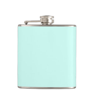 Flasques Solide camée vert menthe doux turquoise