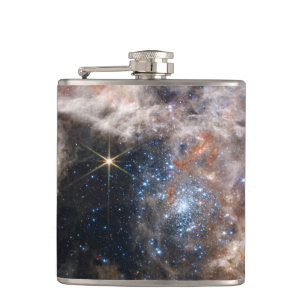 Flasques Tarantula Nebula Image de JWST