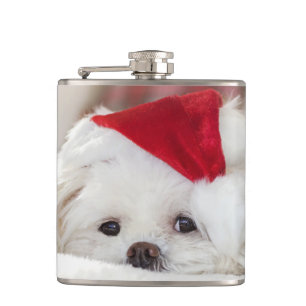 Flasques Un mignon chien blanc dans un Casquette de Noël ro
