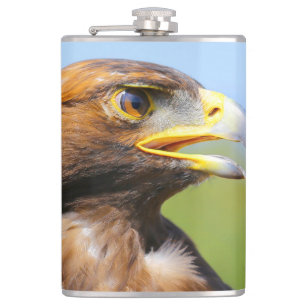 Flasques Vision d'un bel aigle d'or jeune
