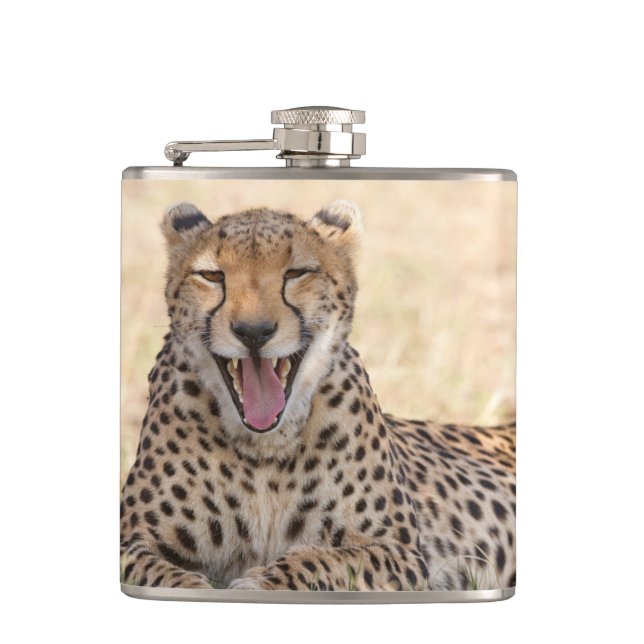Flasques Yawning Cheetah (Devant)