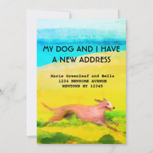 Flat Announcement Card