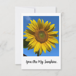 Flat Blank Card - You Are My Sunshine