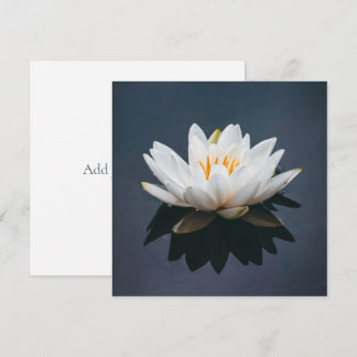 FLAT CARD : LOTUS
