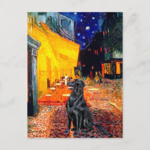 Flat Coated Retriever 1 - Terrace Cafe Postcard