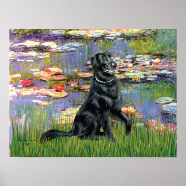 Flat Coated Retriever 2 - Lilies 2 Poster (Front)