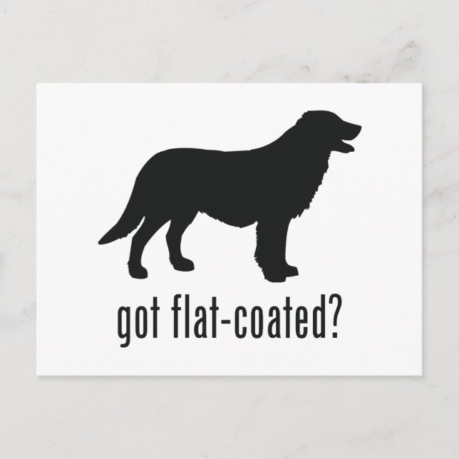 Flat-coated Retriever Postcard (Front)