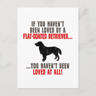 Flat-Coated Retriever Postcard