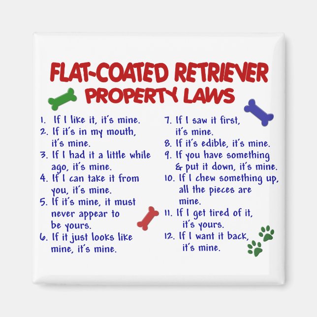FLAT COATED RETRIEVER Property Laws 2 Magnet (Front)