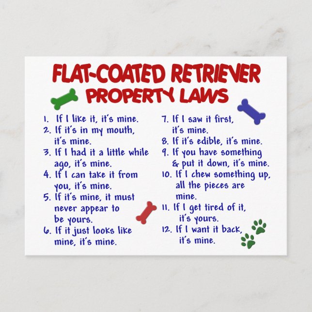 FLAT COATED RETRIEVER Property Laws 2 Postcard (Front)