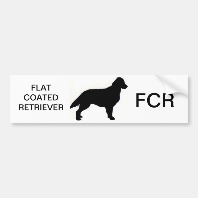 Flat-Coated Retriever silo Bumper Sticker (Front)