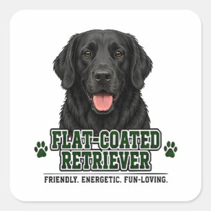 🐾 Flat-Coated Retriever 🐾 Square Sticker