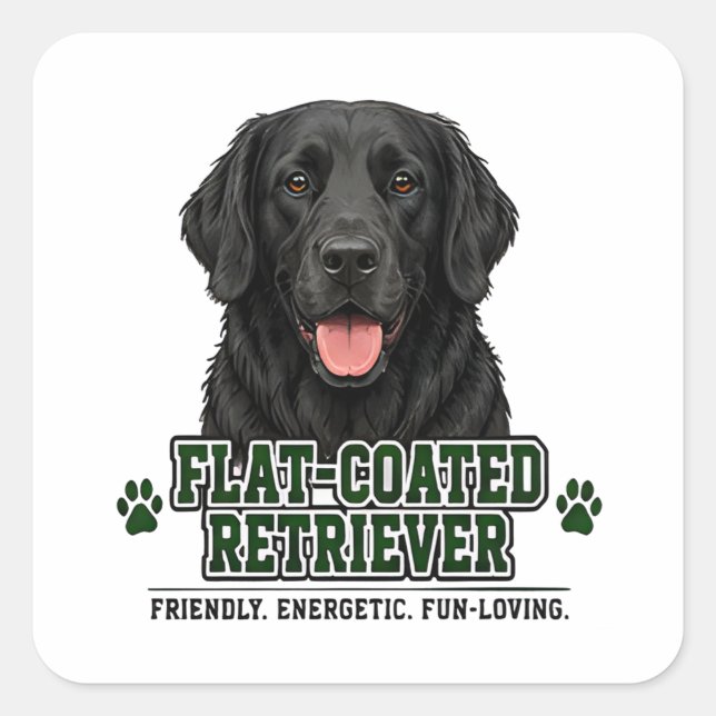 🐾 Flat-Coated Retriever 🐾 Square Sticker (Front)