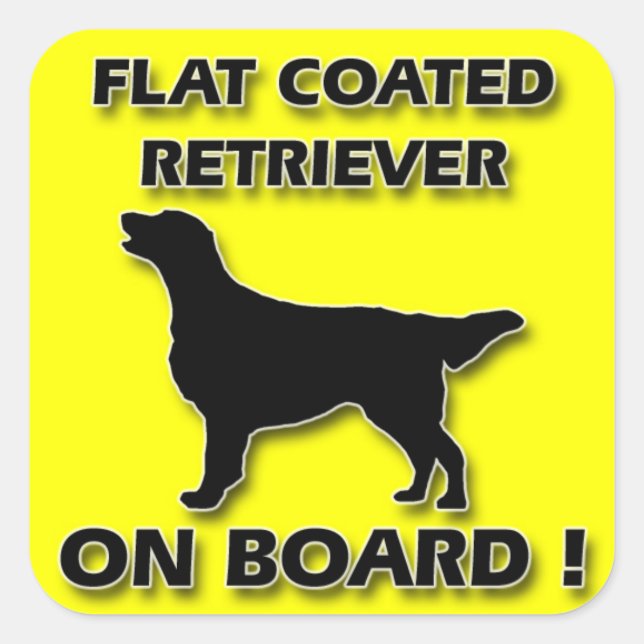 Flat Coated Retriever Square Sticker (Front)