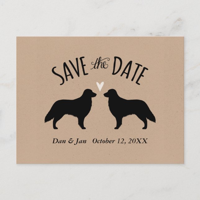Flat Coated Retrievers Wedding Save the Date Announcement Postcard (Front)