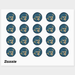 Flat Earth Azimuthal Projection Map Sticker