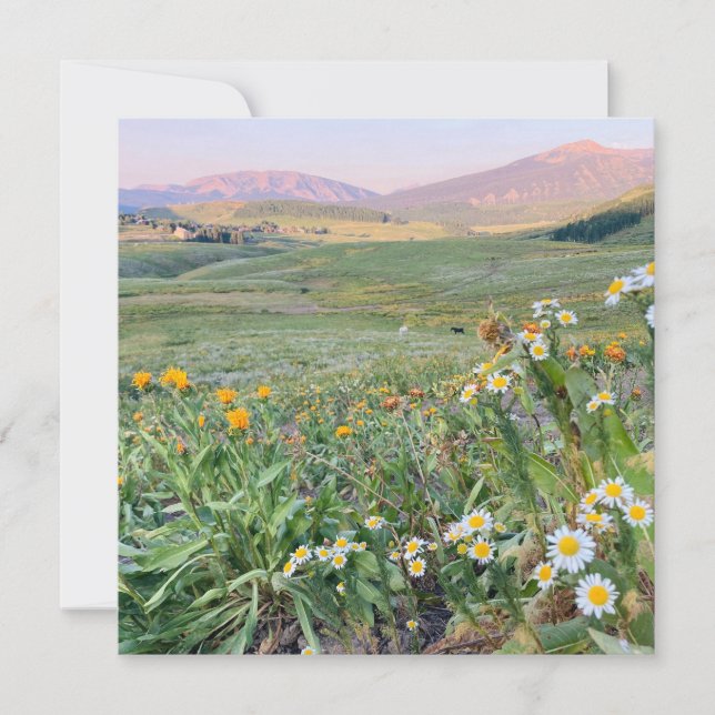 Flat Holiday Card (Front)