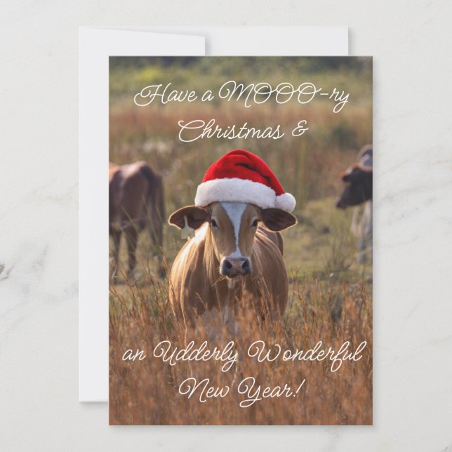 Flat Holiday Card (Front)