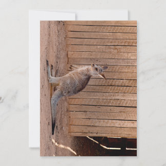 Flat holiday card basic semi gloss