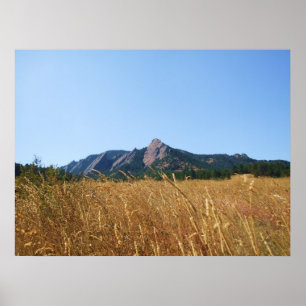 Flat Irons Poster