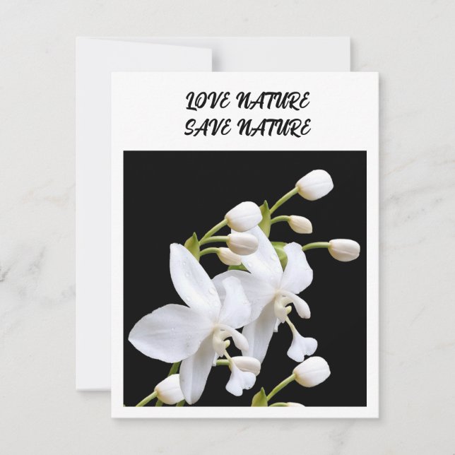 Flat Note Card - environment related announcement (Front)