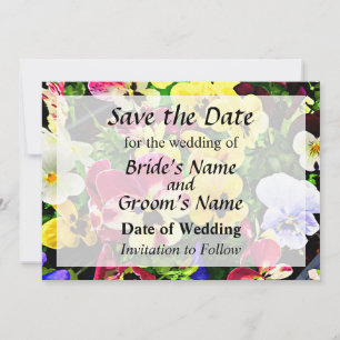 Flat of Pansies Mixed Colours Save the Date