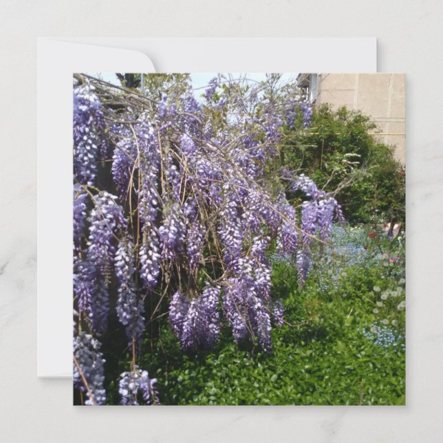 Flat Save the Date  Wedding wisteria violet green (Front)