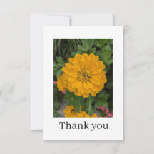 Flat Thank You Card