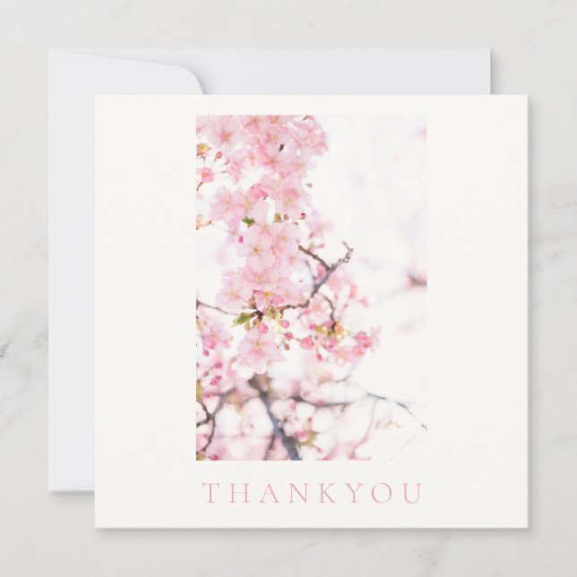 FLAT THANK YOU CARD : CHERRY BLOSSOM BRANCH (Front)
