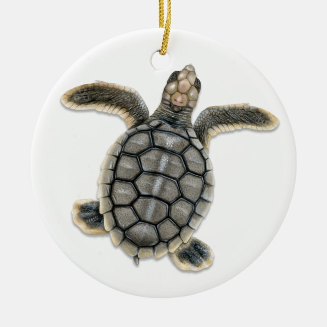 Flatback Sea Turtle Ornament (Front)