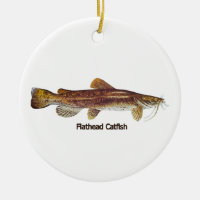 Flathead Catfish