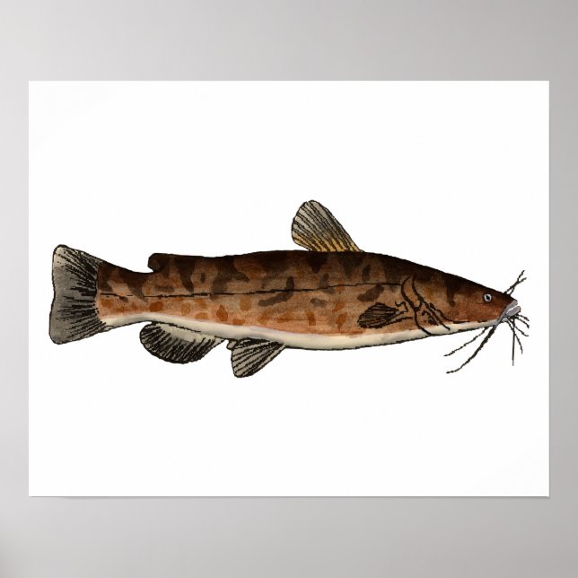 Flathead Catfish Poster (Front)