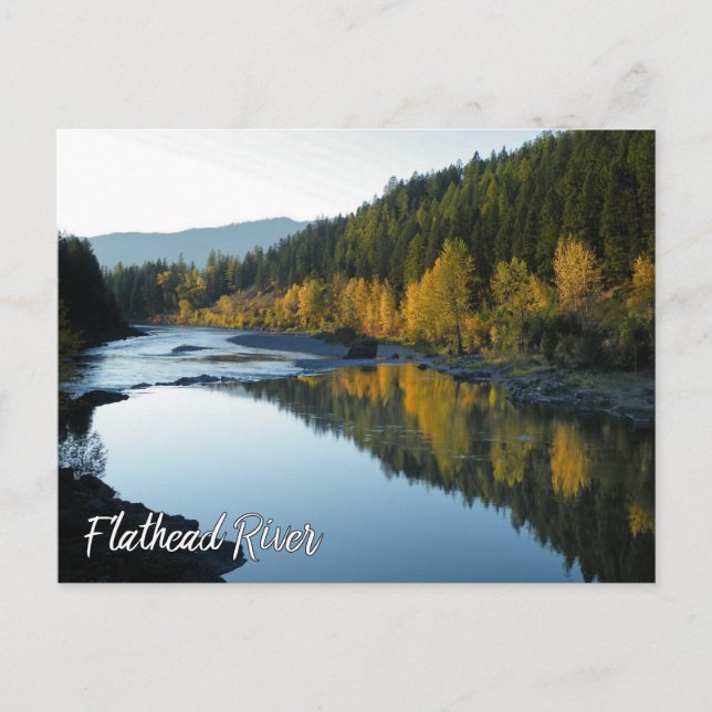 Flathead River View with Mountains and Fall Trees Postcard (Front)