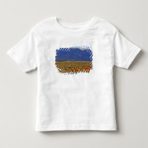 Flathead Valley Montana Pumpkin patch Toddler T-shirt