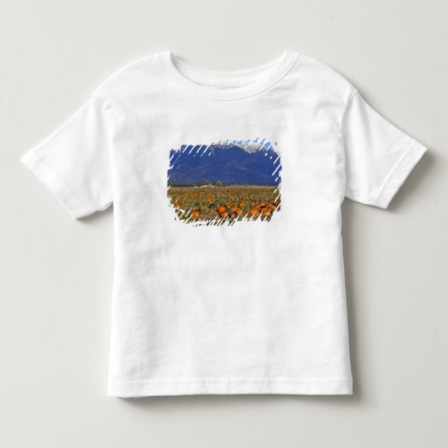 Flathead Valley Montana Pumpkin patch Toddler T-shirt (Front)